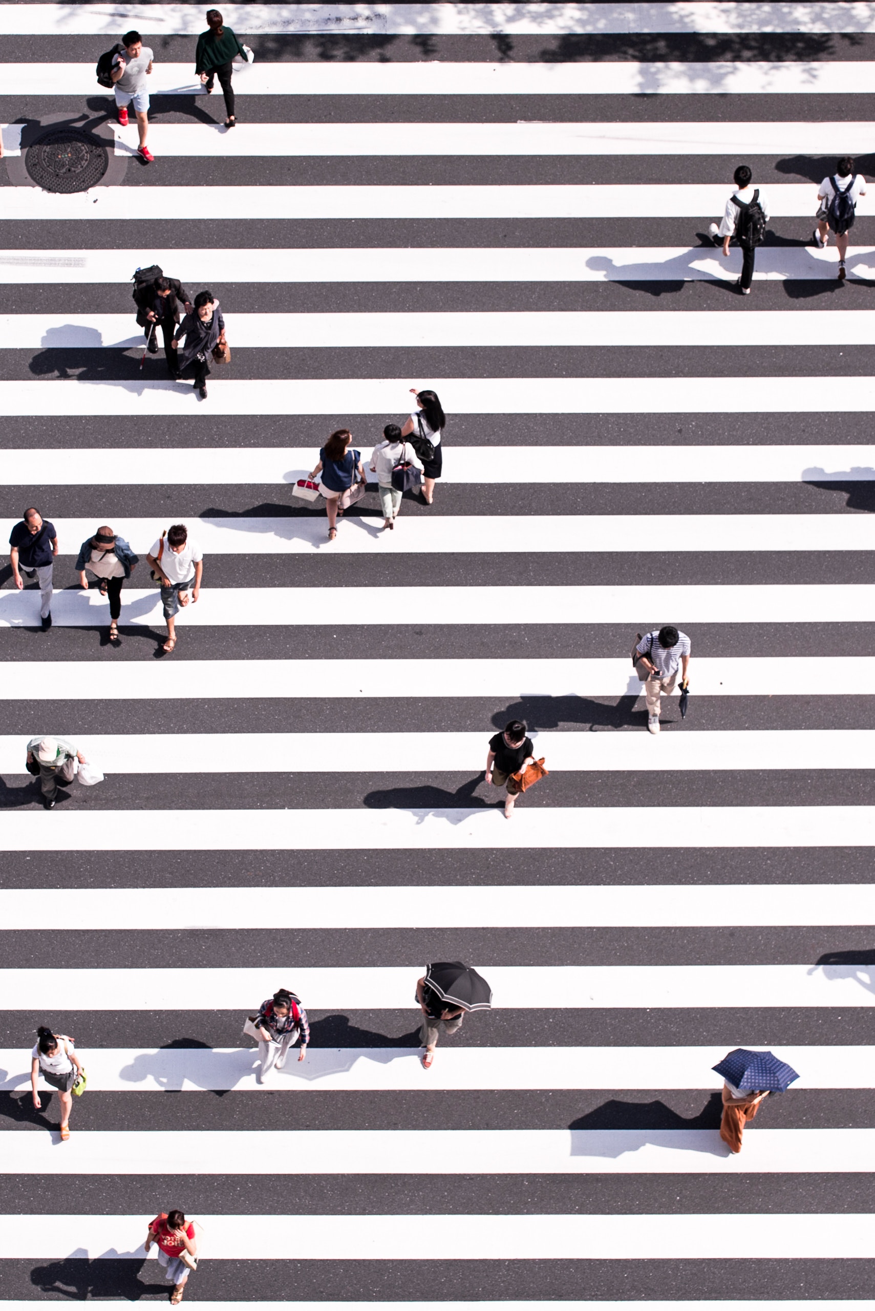 ryoji-iwata-n31JPLu8_Pw-unsplash ryoji-iwata-n31JPLu8_Pw-unsplash